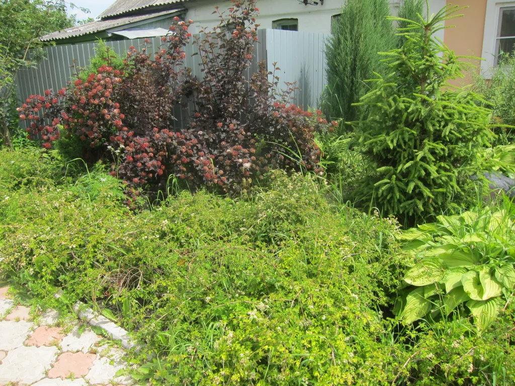 Гостевой дом в Ясной Поляне