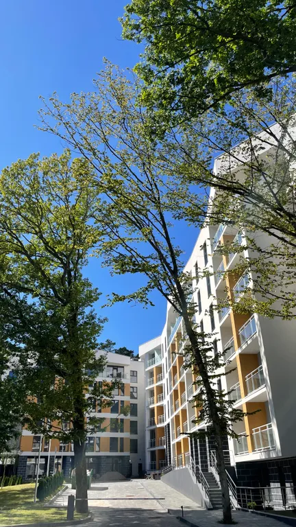 Квартира Апартаменты с видом на сосновый лес — Светлогорск