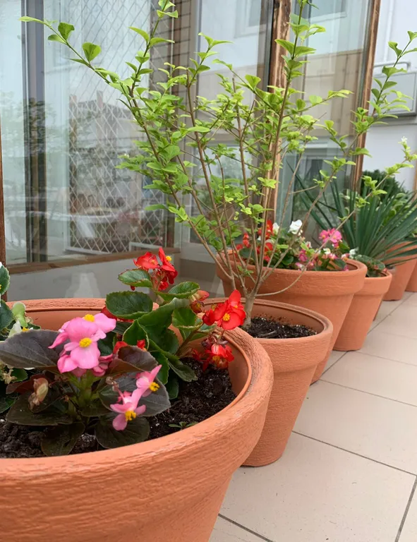 Квартира Квартира Двухместный номер "Эконом" — Анапа