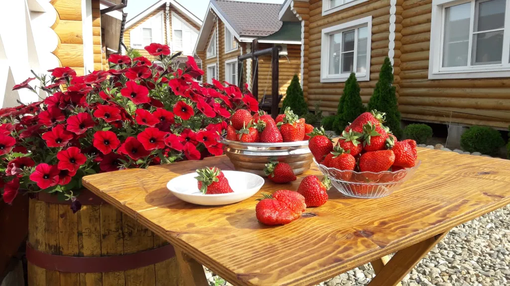 Квартира Квартира Большой 4х местный номер с террасой — Кучугуры