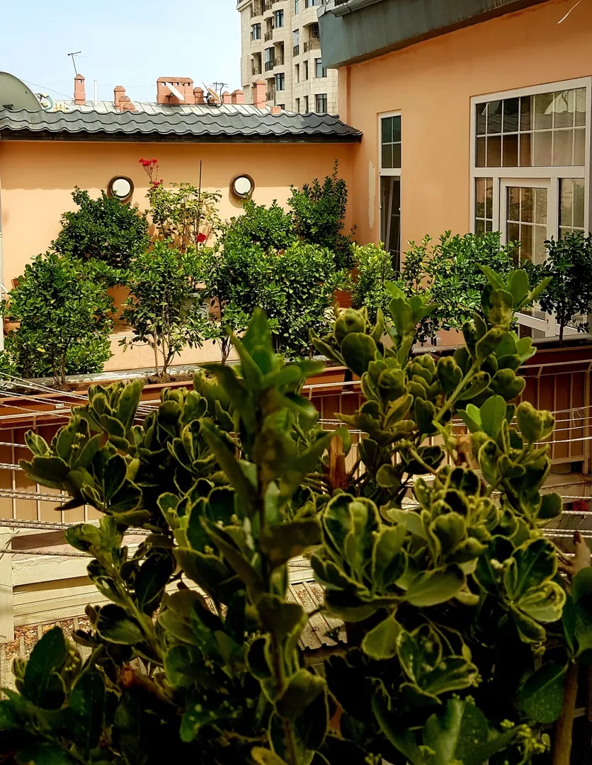 " PATIO " ( s 17 м² ) Балкон с видом на внутренний дворик.