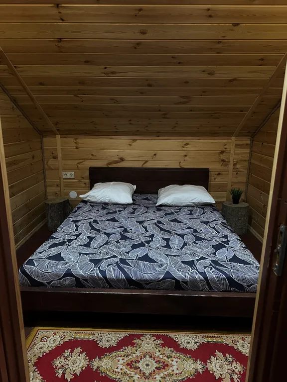 Дом, баня в центре