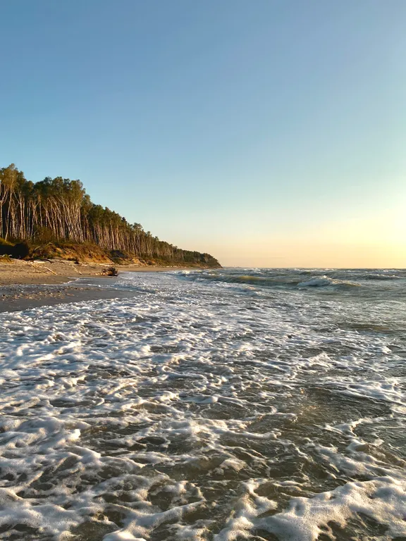 Квартира Квартира Апартамент Orange — Светлогорск