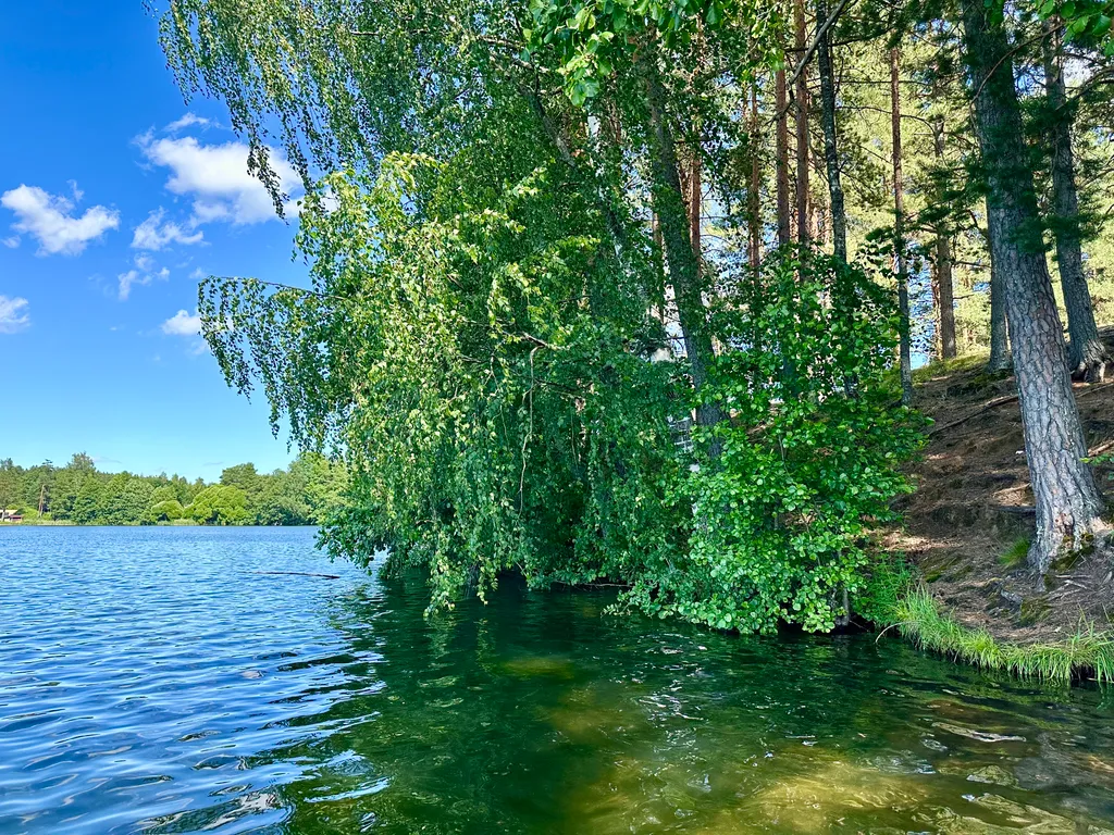 Коттедж Уютный домик в сосновом лесу — Кириши