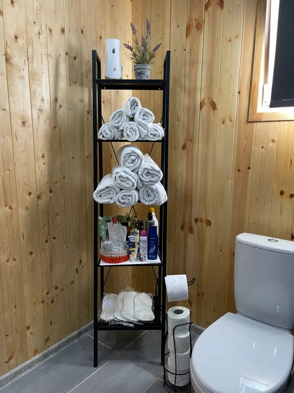 Дом с баней, караоке, PlayStation и Алисой на берегу моря