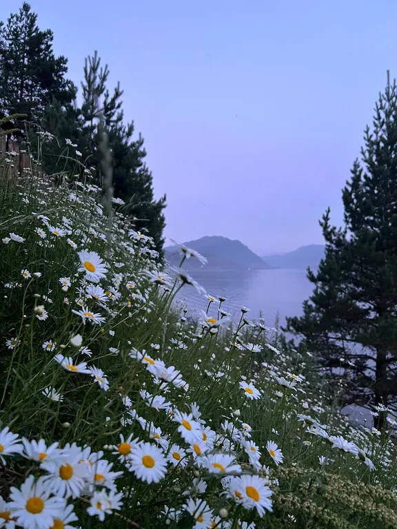 Апартаменты с видом на озеро