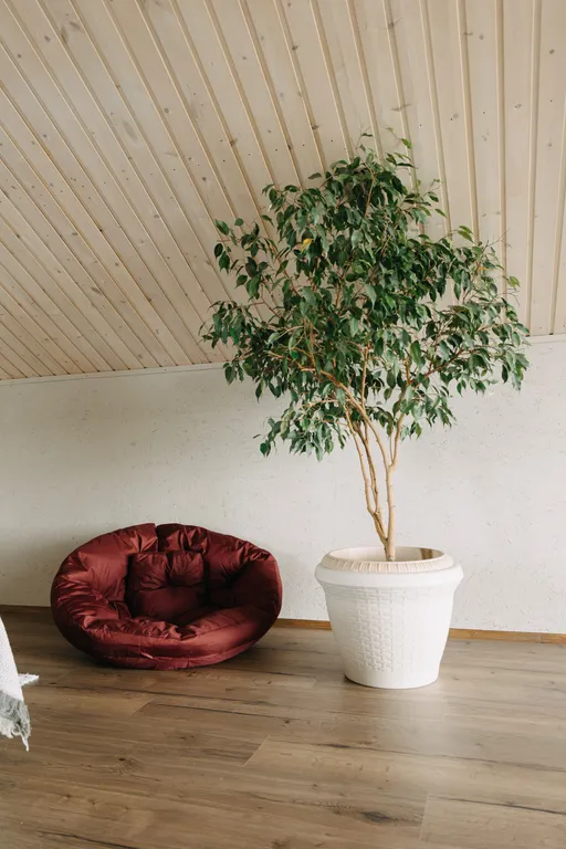 Потрясающий эко дом