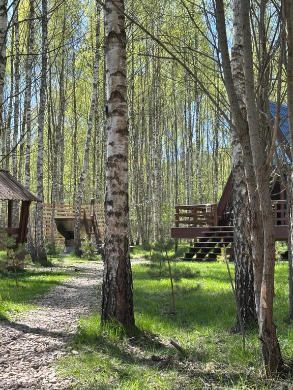 Дом в стиле A-fram