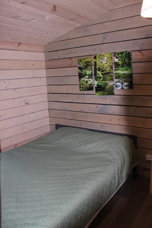 Дом в березовой роще