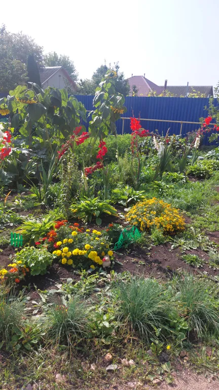 Уютный семейный домик