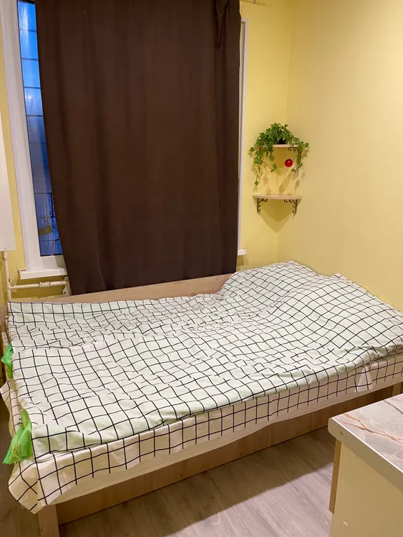 В гостях у гуся