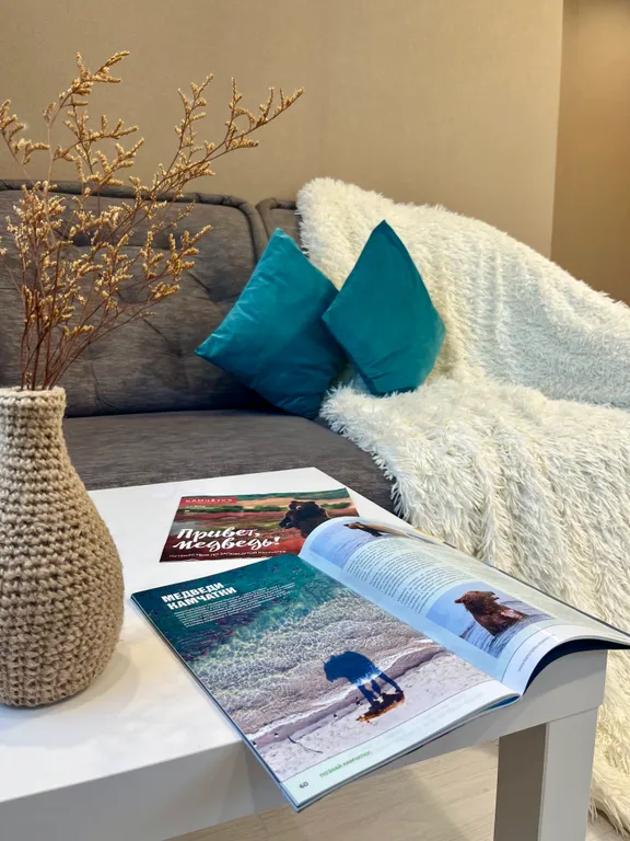 Квартира в топовой локации с видом на вулканы — аренда посуточно в Петропавловск-Камчатский