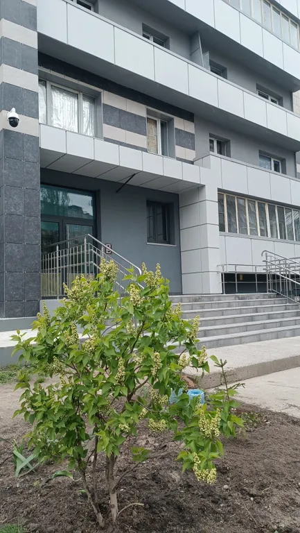 Квартира Уютная квартира возле Музея мирового океана — Калининград