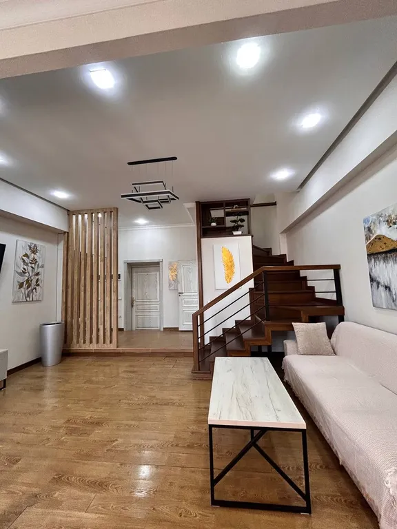 Дуплекс в центре города