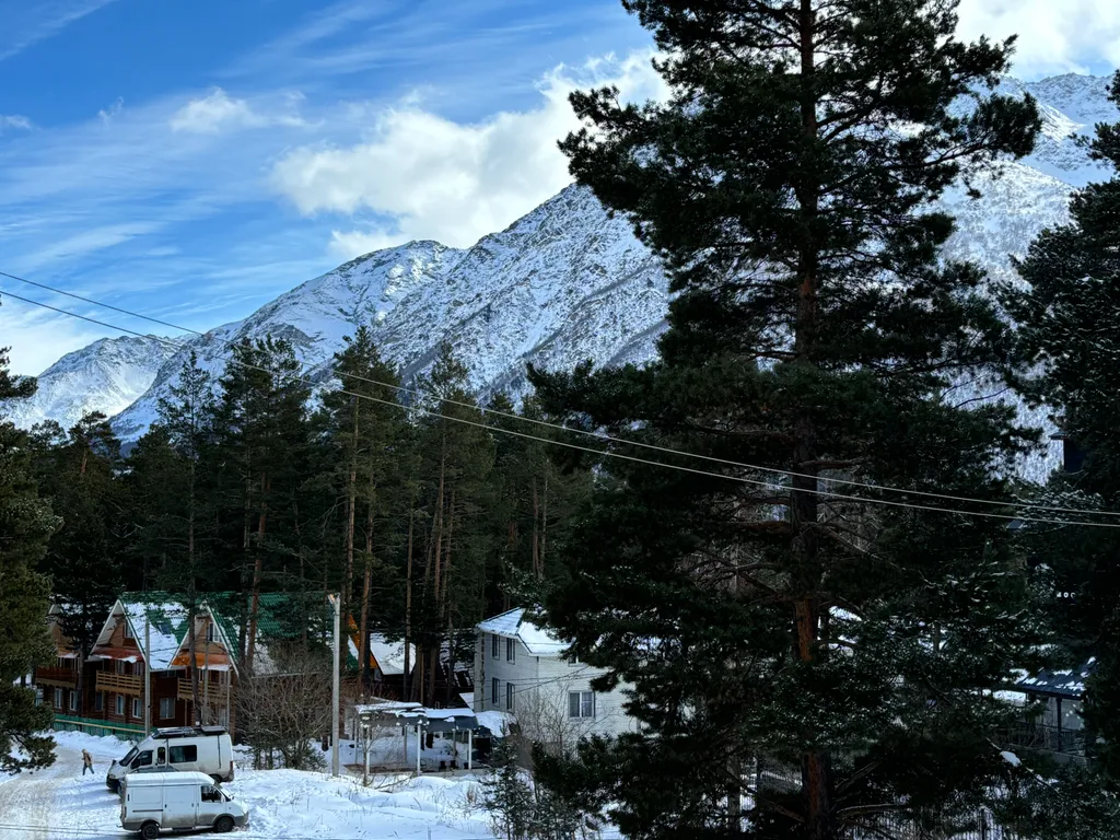 Квартира с видом на лес и горы