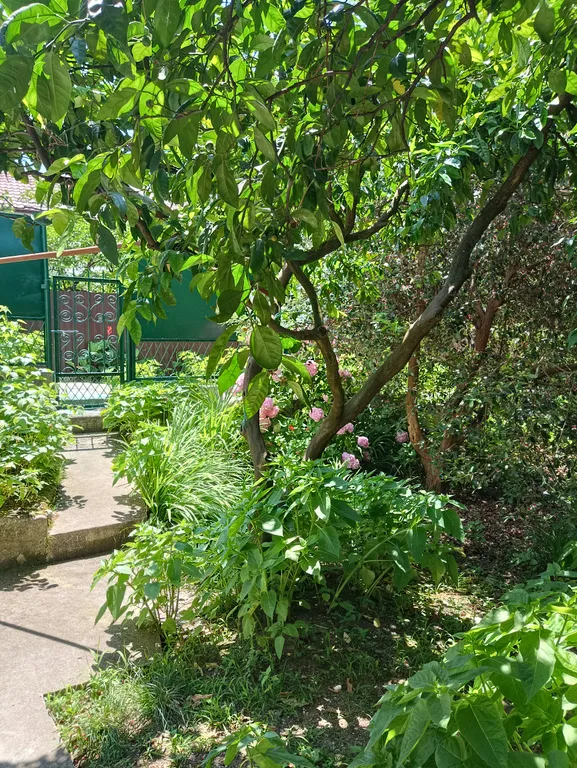 Первый этаж с отдельным входом в районе центрального рынка