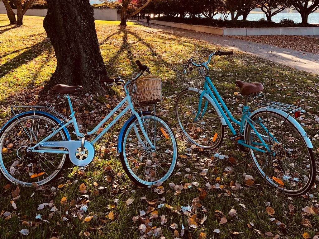 Квартира Велоапартаменты — Светлогорск