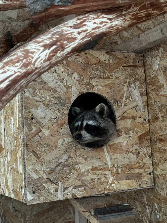 Домик в лесу с пятнистыми оленями и кроликами