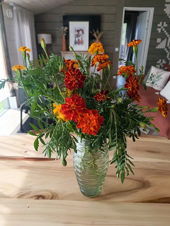 Коттедж Дом с панорамными окнами и печью для семейного отдыха, отдыха с детьми — Семеновское