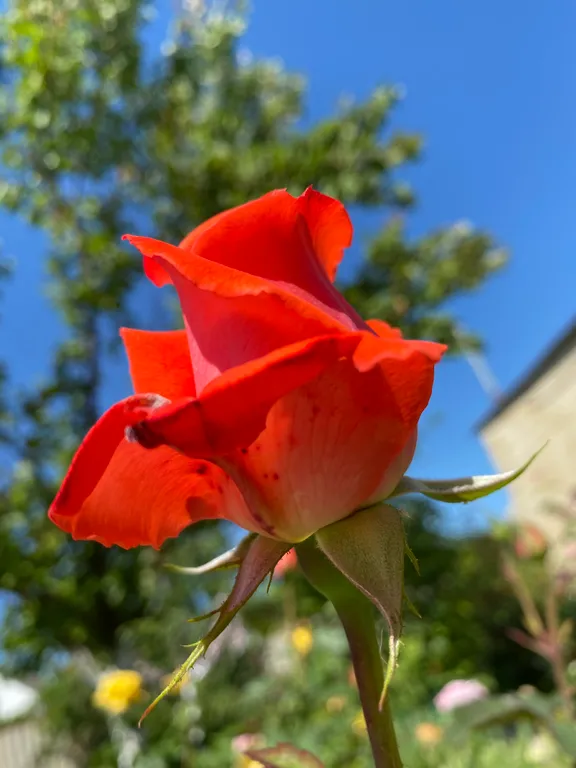 Коттедж 1-комнатный Дом — Избербаш