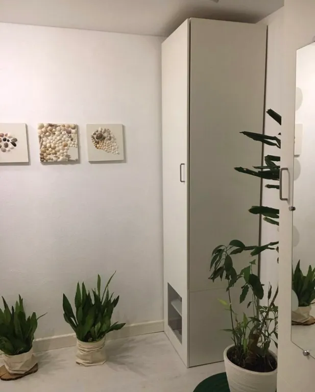 Квартира у леса