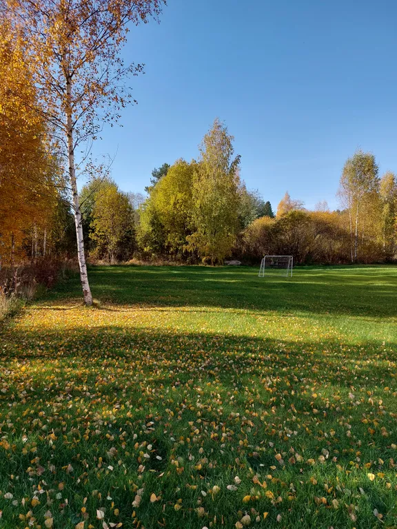 Квартира Уютные апартаменты с кухней — Приморск