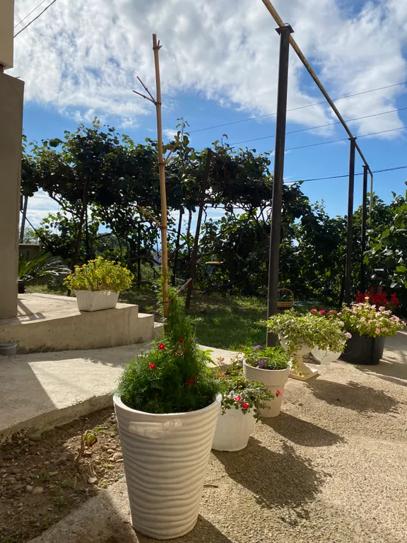 Коттедж Уютный дом на холме с красивыми видами на море, олимпийские объект — Сочи