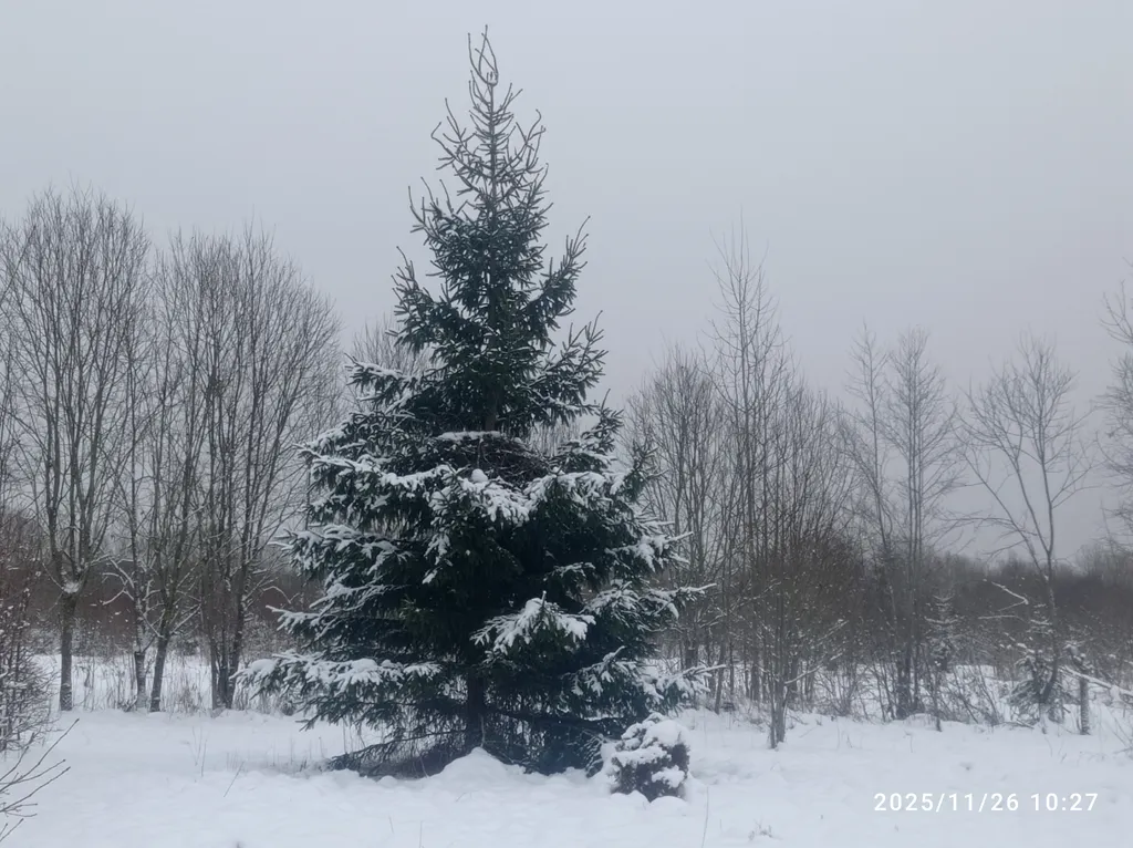 Таунхаус с детской комнатой