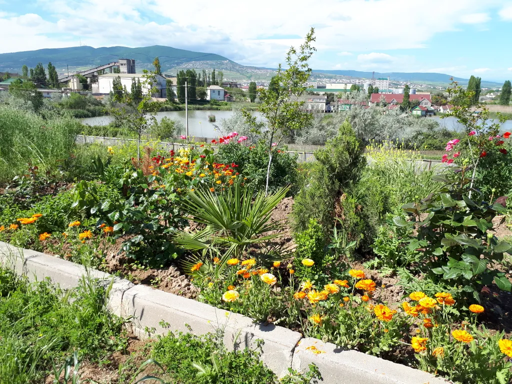 Первый коттедж