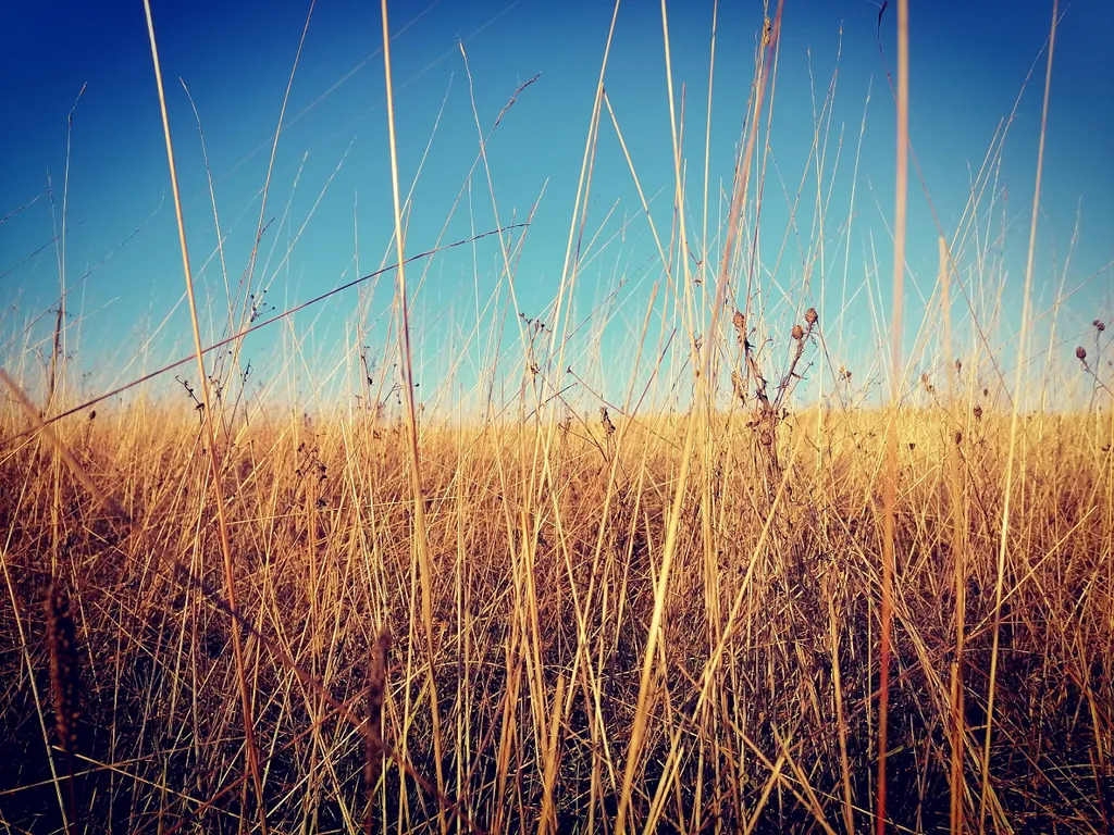 Дом Избушка Луна