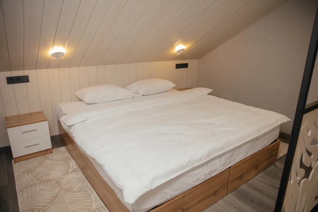 Двухместный номер Джуниор Сюит для вас и вашего питомца