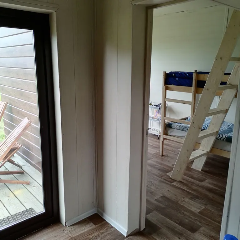 Глэмпинг Папоротник