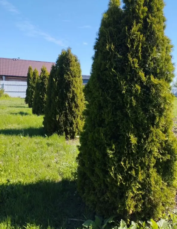 Дом в живописном месте