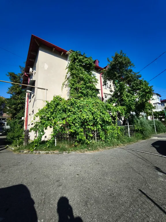 Квартира в уютном, спокойном и живописном месте — аренда посуточно в Лазаревское