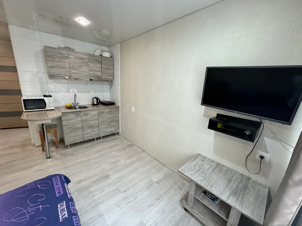 Студия рядом с Галереей Чижова