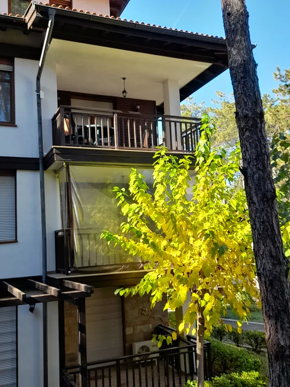 Трехкомнатный люкс в соснах у моря в Санта Марина