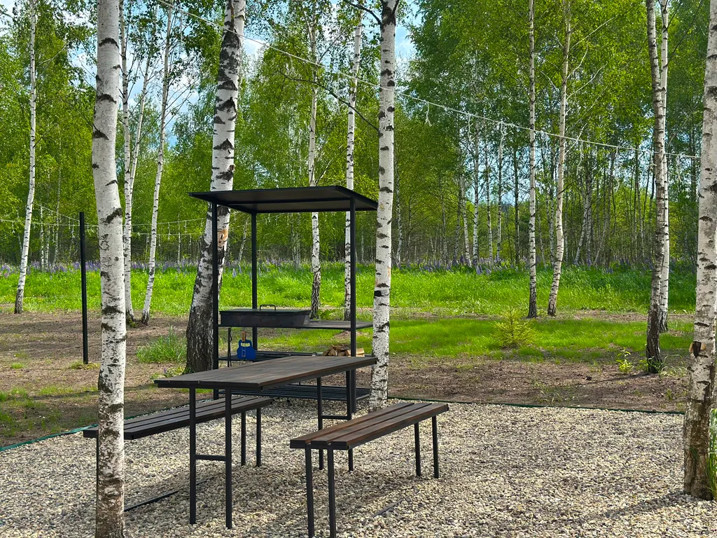 Дом с купелью