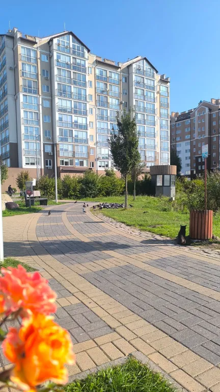 Квартира Квартира Апартамент Балтийский стиль — Зеленоградск