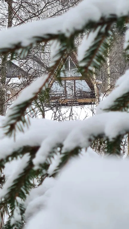 Уютный домик с видом на лес