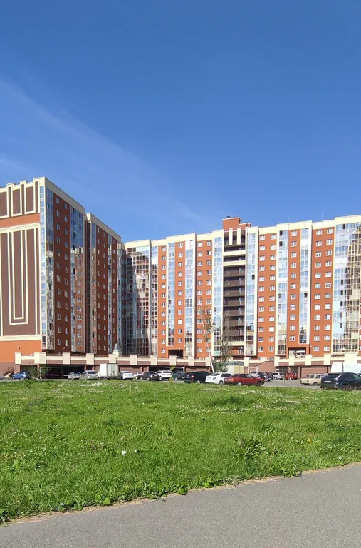 Квартира с просторной кухней-гостиной и видом на лес