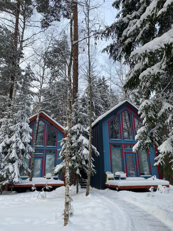 Барнхаус в лесу с розовой гостиной