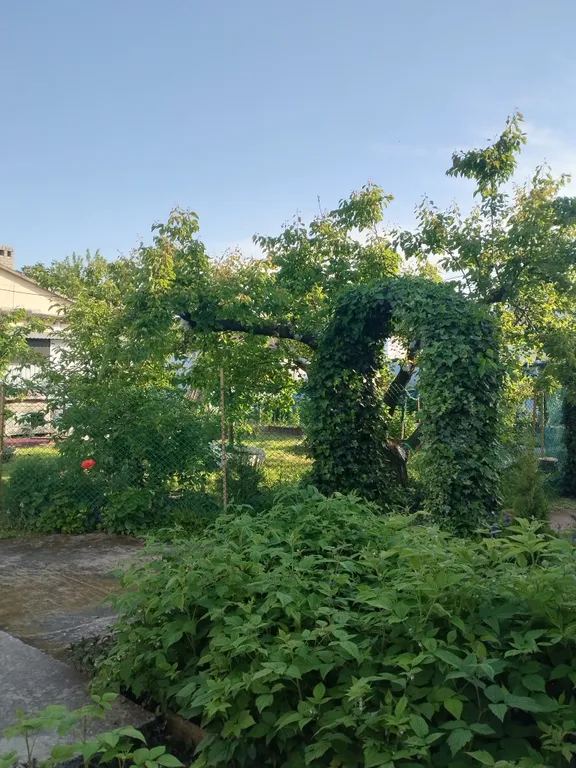 Семейный 3-х комнатный номер в тихом районе