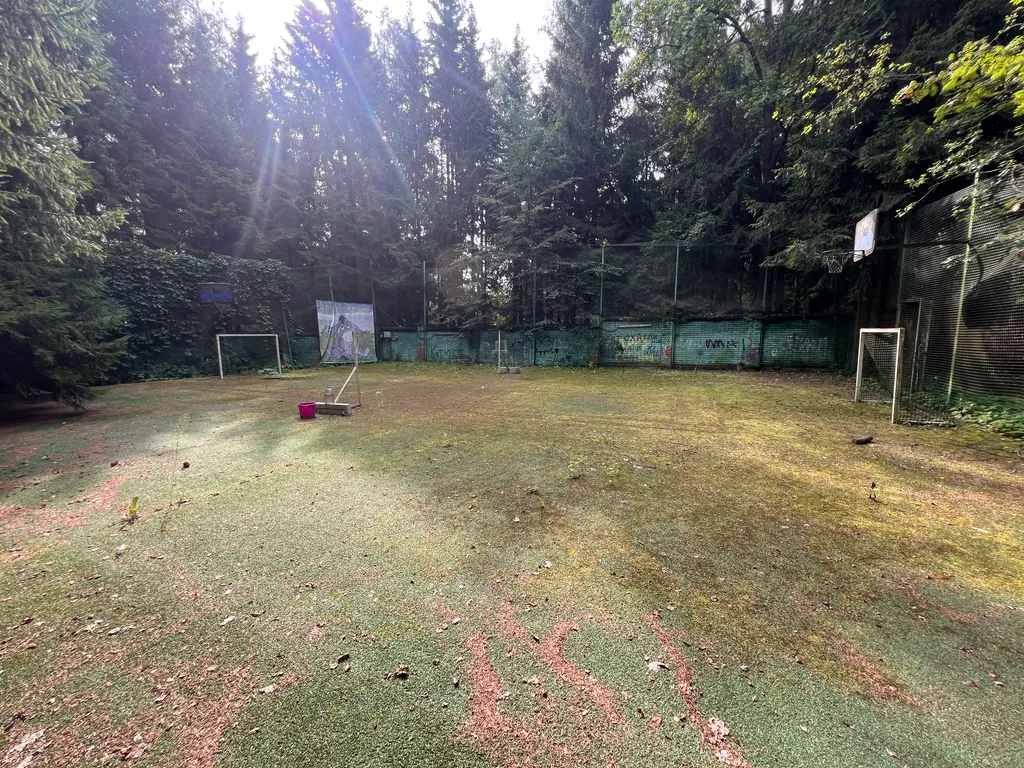 Усадьба в хвойном лесу