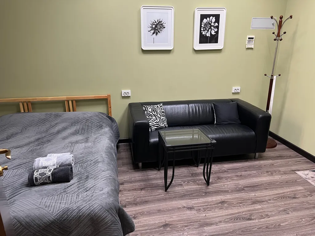 Уютная студия-апартамент в центре города