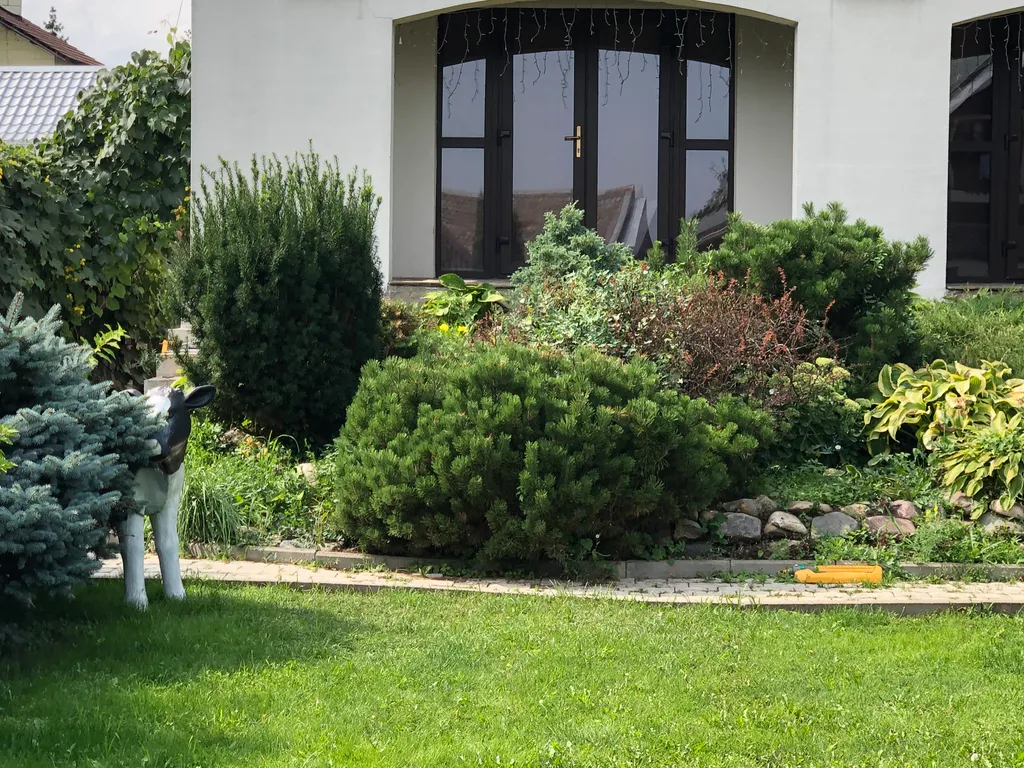 Коттедж Дом в красивом месте — Суздаль