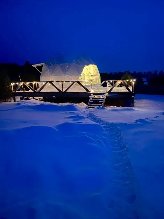 Купольный домик в окружении леса
