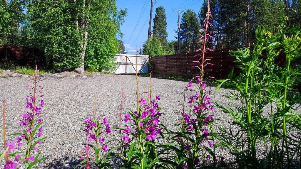 Большой дом с сауной