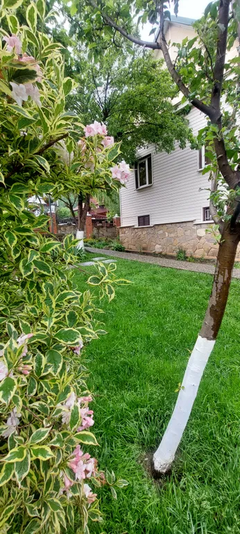 Гостевой дом в сердце Красной поляны