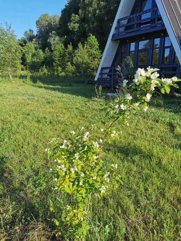 Уютный гостевой дом