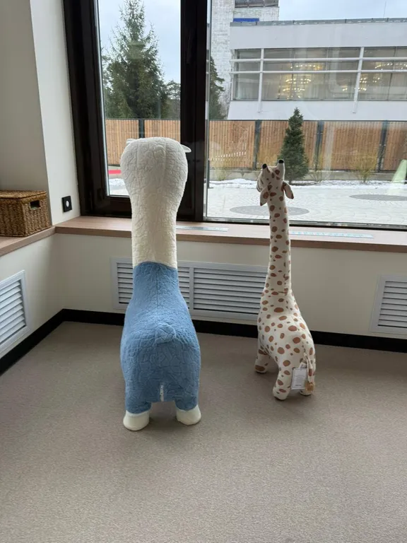 Уютные апартаменты у моря